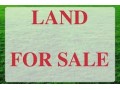 land-for-sale-small-0